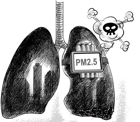 WHO״϶PM2.5°